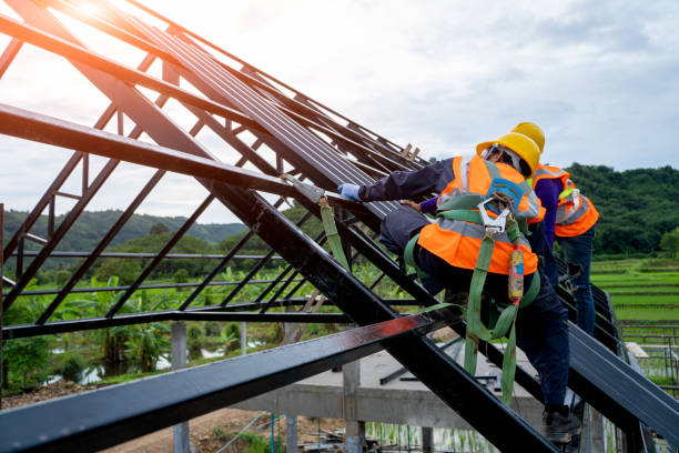 Best Roof Repair Specialists  in Wayne City, IL