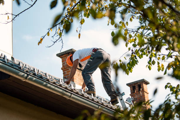 Best Residential Roofing Contractor  in Wayne City, IL