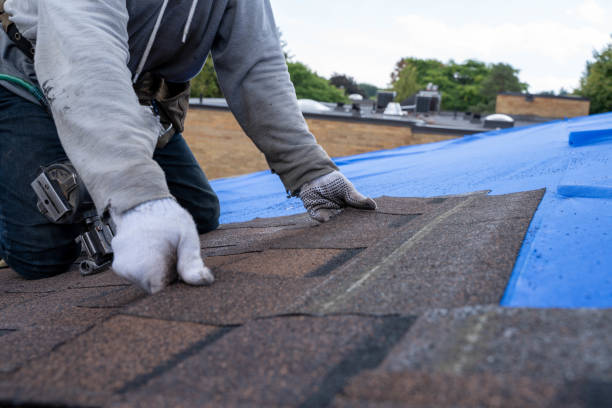 Best Residential Roofing Contractor  in Wayne City, IL