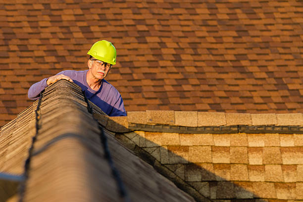 Best Slate Roofing Contractor  in Wayne City, IL