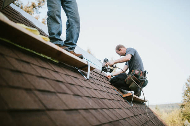 Best Storm Damage Roof Repair  in Wayne City, IL